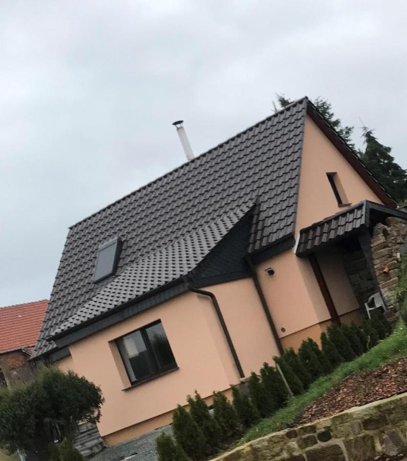 Ferienhaus Unstrutblick Kaiserpfalz Екстер'єр фото